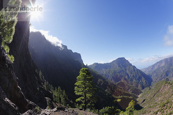 Blick vom Lomo del Escuchadero  Nationalpark Caldera de Taburiente  La Palma  Kanaren  Kanarische Inseln  Spanien  Europa Caldera de Taburiente Nationalpark