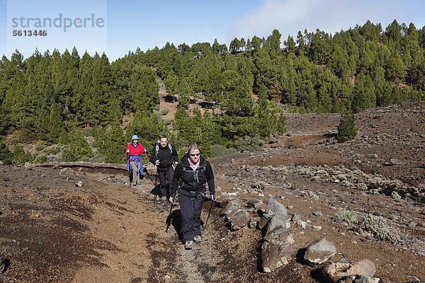Wanderer auf der Vulkanroute  Ruta de los Volcanes  La Palma  Kanaren  Kanarische Inseln  Spanien  Europa