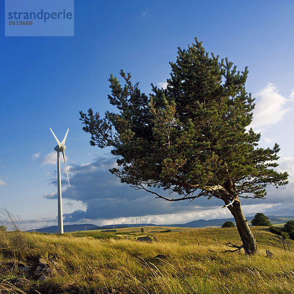 Windturbine Windrad Windräder Frankreich Europa Auvergne