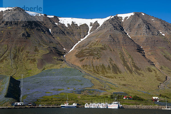 Hafen Europa Island