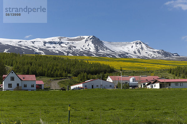 Europa Bauernhof Hof Höfe Wiese Nordeuropa