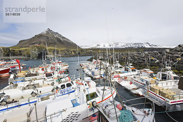 Basalt-Küste und der kleine Fischerhafen  Arnarstapi  Island  Nordeuropa  Europa