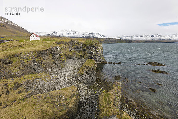 Basalt-Küste bei Arnarstapi  Island  Nordeuropa  Europa