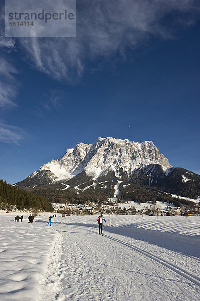 Langläufer und Spaziergänger  Zugspitze bei Lermoos  Tirol  Österreich  Europa