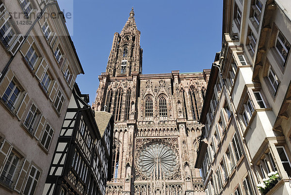 Blick von der Krämergasse auf das Straßburger Münster  Straßburg  Strasbourg  Elsass  Frankreich  Europa  ÖffentlicherGrund