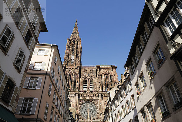 Blick von der Krämergasse auf das Straßburger Münster  Straßburg  Strasbourg  Elsass  Frankreich  Europa  ÖffentlicherGrund
