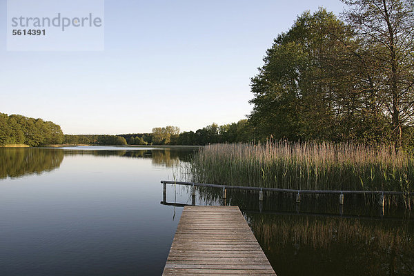 Linstower See mit Steg  bei dem Ort Linstow  Mecklenburgische Seenplatte  Mecklenburg-Vorpommern  Deutschland  Europa