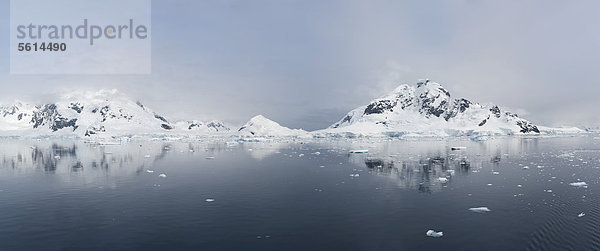 Eisberge  Bahia Paraiso  Paradies-Bucht  Antarktische Halbinsel  Antarktis