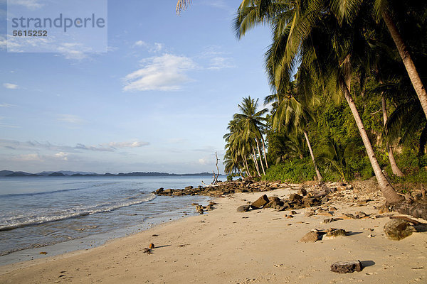 Sandstrand mit Kokospalmen in Port Barton  Insel Palawan  Philippinen  Asien