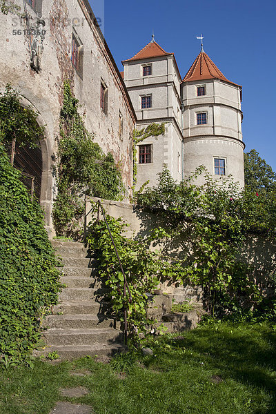 Schloss Scharfenberg  rechtselbisch  Eingangsbereich  Sächsisches Elbland  Sachsen  Deutschland  Europa