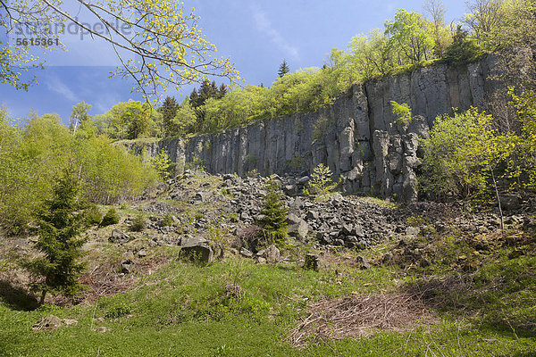 Basaltsäulen Butterfässer am Pöhlberg  832m  in Annaberg-Buchholz  Erzgebirge  Sachsen  Deutschland  Europa