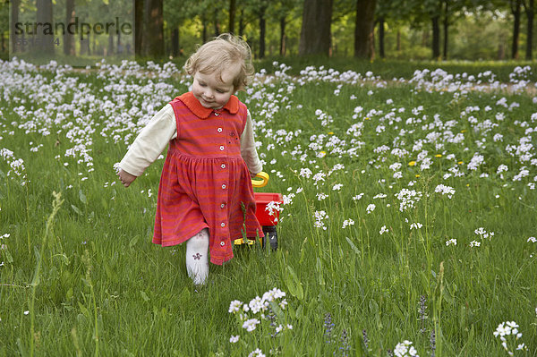 Kleines Mädchen läuft fröhlich über eine Wiese