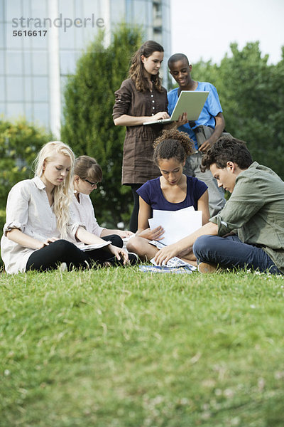 Studenten  die gemeinsam auf Rasen studieren