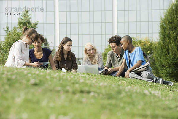 Universitätsstudenten  die auf Rasen studieren  flacher Blickwinkel