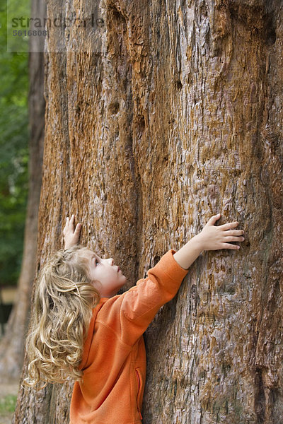 Kleines Mädchen berührt großen Baumstamm  schaut nach oben