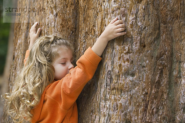 Kleines Mädchen berührt Baumstamm