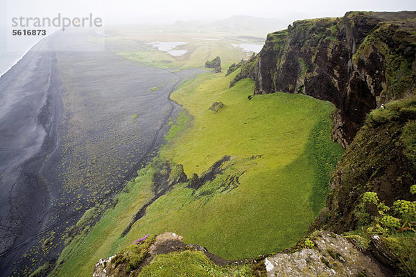 Klippen mit Blick auf den schwarzen Sandstrand  Halbinsel DyrhÛlaey  Island