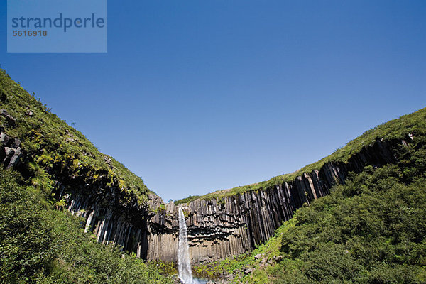 Svartifoss Wasserfall und Basaltsäulen  Skaftafell Nationalpark  Island