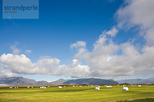 Ruhige Landschaft  Island