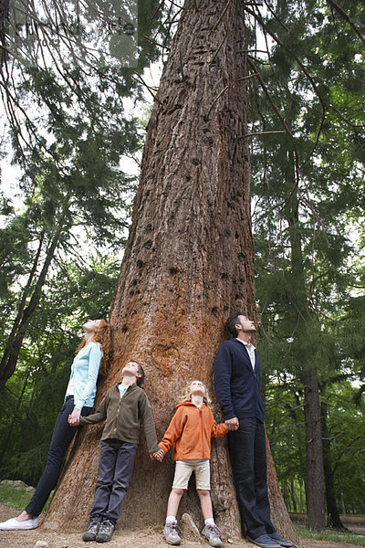 Familie steht zusammen am Fuße eines hohen Baumes und hält sich an den Händen.