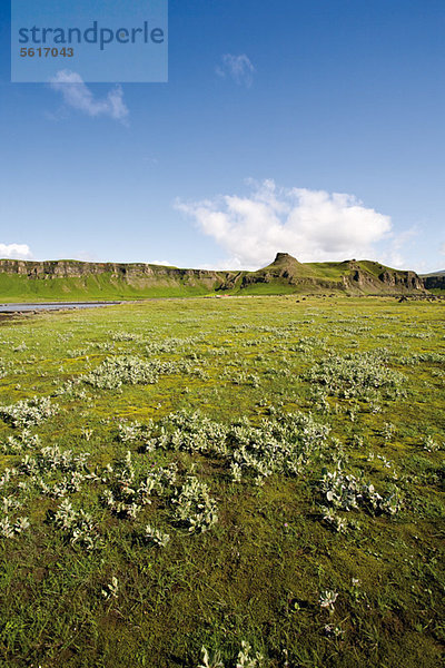 Landschaft entlang der Route 1 zwischen Kirkjubaejarklaustur und Kalfafell  Island