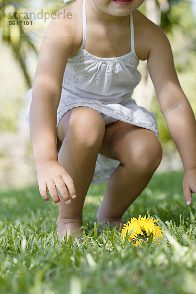 Kleines Mädchen spielt auf Rasen