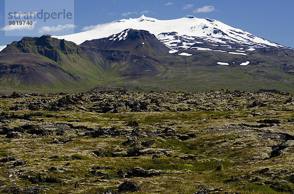 Gletscher SnÊfellsjökull  Snaefellsjökull  und Lavafeld Neshraun  Halbinsel SnÊfellsnes  Snaefellsnes  Island  Europa