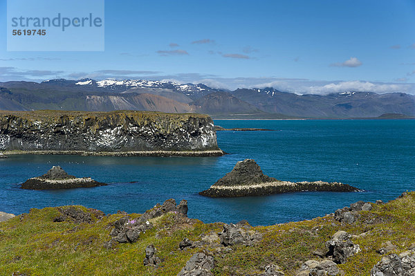 Basaltsäulen  Klippen an der Küste bei Arnarstapi  Bucht Brei_avÌk  BreidavÌk  Halbinsel SnÊfellsnes  Snaefellsnes  Island  Europa