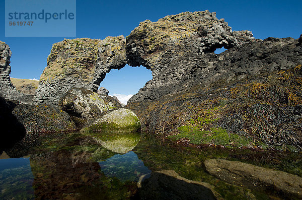 Basaltbogen an der Küste bei Arnarstapi  Bucht Brei_avÌk  BreidavÌk  Halbinsel SnÊfellsnes  Snaefellsnes  Island  Europa