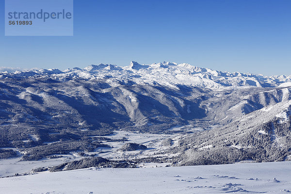 Blick vom Lawinenstein zum Dachstein-Gebirge  Bad Mitterndorf  Ausseerland  Salzkammergut  Steiermark  Österreich  Europa