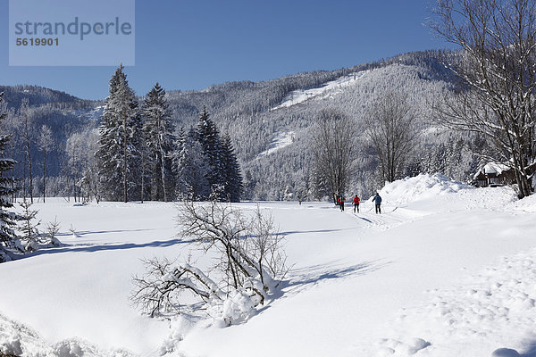 Langlauf-Loipe bei Kainisch  Ausseerland  Salzkammergut  Steiermark  Österreich  Europa