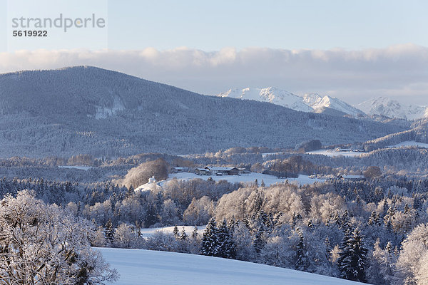 Alpenvorland bei Irschenberg mit Eyrain  Oberland  hinten Mangfallgebirge  Oberbayern  Bayern  Deutschland  Europa