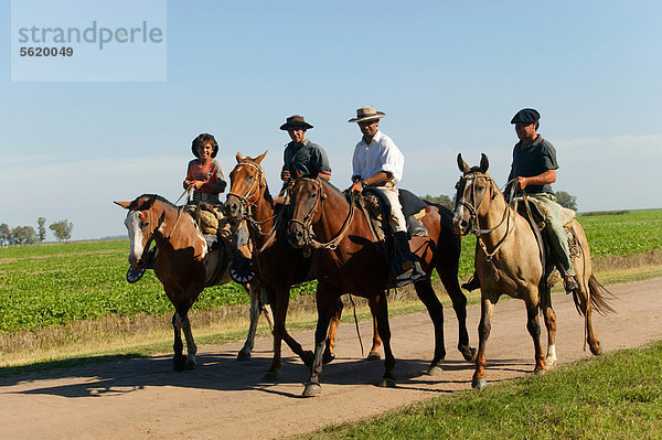 Gauchos zu Pferd  Estancia San Isidro del Llano bei Carmen Casares  Provinz Buenos Aires  Argentinien  Südamerika