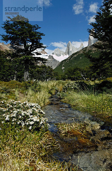 Nationalpark Los Glaciares  UNESCO Weltkulturerbe mit Monte Fitz Roy  El Chalten  Gebirgskette  Provinz Santa Cruz  Patagonien  Argentinien  Südamerika