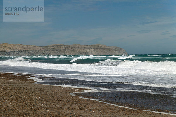 Küstenstrich  Atlantikküste  Carmen de Patagones  Patagonien  Argentinien  Südamerika