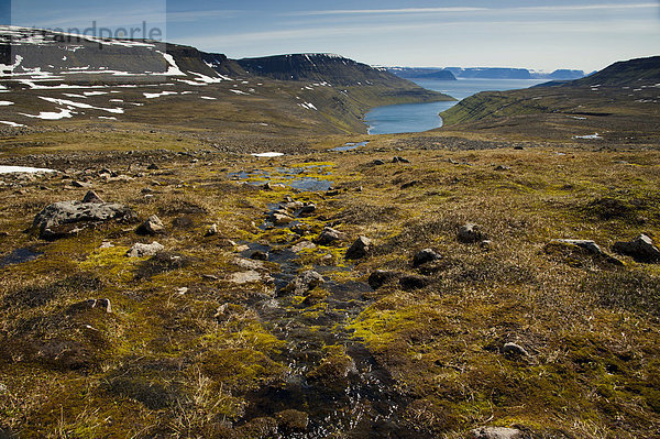 Blick auf Fjord Hesteyrarfjör_ur  Hesteyrarfjördur  Hornstrandir  Westfjorde  Island  Europa