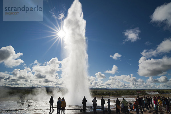 Touristen beobachten Dampf- und Wassersäule  Geysir Stokkur im Gegenlicht  Tal Haukadalur  Golden Circle  Su_urland  Sudurland  Süd-Island  Island  Europa