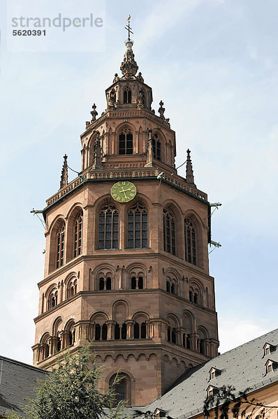 Mainzer Dom  Altstadt  Mainz  Rheinland-Pfalz  Deutschland  Europa  ÖffentlicherGrund