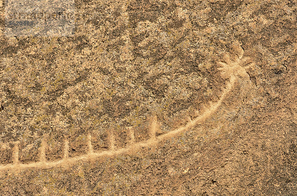 Steinzeitliche Felsgravur eines Boots in der Unesco-Welterbestätte von Gobustan mit rund 6000 bis zu 40000 Jahre alten Felsgravuren  bei der Kreisstadt Gobustan am Kaspischen Meer  Aserbaidschan  Kaukasus  Vorderasien