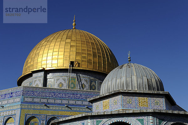 Felsendom und Kettendom  Kuppeln  Tempelberg  Jerusalem Altstadt  Israel  Naher Osten  Vorderasien  Asien