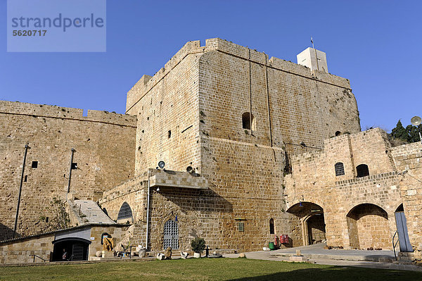 Kreuzfahrerfestung in Akko oder Akkon  Galiläa  Israel  Naher Osten  Vorderasien  Asien