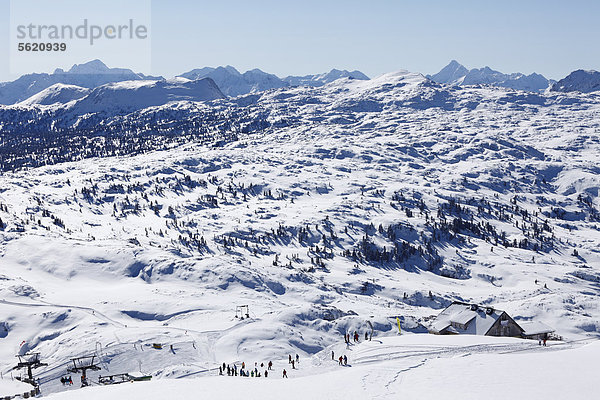 Skigebiet am Krippenstein mit Margschierf  Dachsteingebirge  auch Dachstein-Gebirge  Salzkammergut  Oberösterreich  Österreich  Europa