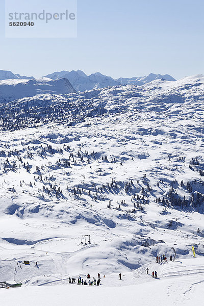 Skigebiet am Krippenstein  Dachsteingebirge  auch Dachstein-Gebirge  Salzkammergut  Oberösterreich  Österreich  Europa