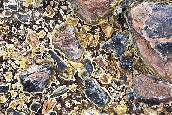Detailaufnahme von Strukturen  gebildet durch farbige Mineralien  Erde und Wasser  im Geothermalgebiet von Hrafntinnusker  Hraftinusker  Hraftntinnusker  Hochland von Island  Europa