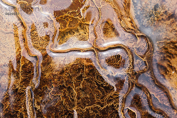 Detailaufnahme von Strukturen  gebildet durch farbige Mineralien  Erde und Wasser  im Geothermalgebiet von Hrafntinnusker  Hraftinusker  Hraftntinnusker  Hochland von Island  Europa