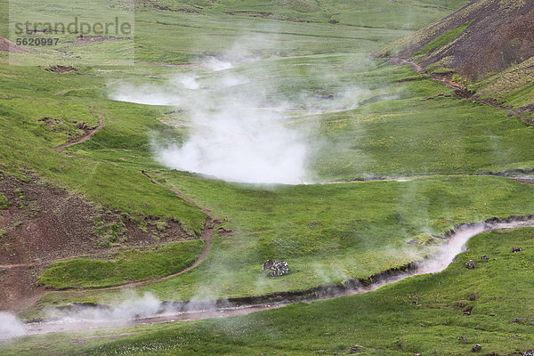 Heiße Quellen im Geothermalgebiet und Tal von Hveragerdi  Hverager_i  Hverager_isbÊr  Hveragerdisbaer  Island  Europa