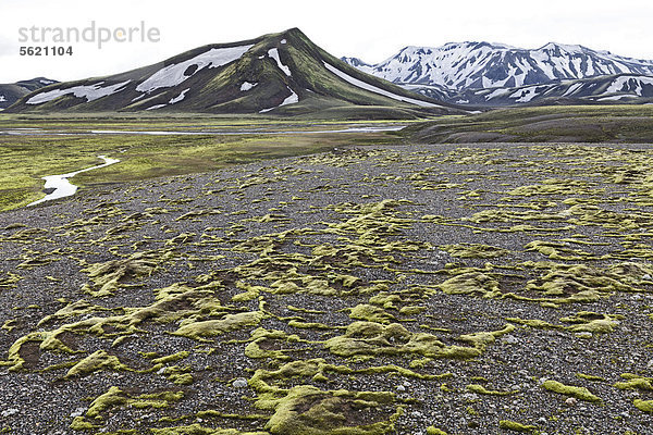 Fetzen aus Moos bewachsen die Lavaflächen auf einer Hochebene im Fjallabak Naturschutzgebiet  Hochland von Island  Europa