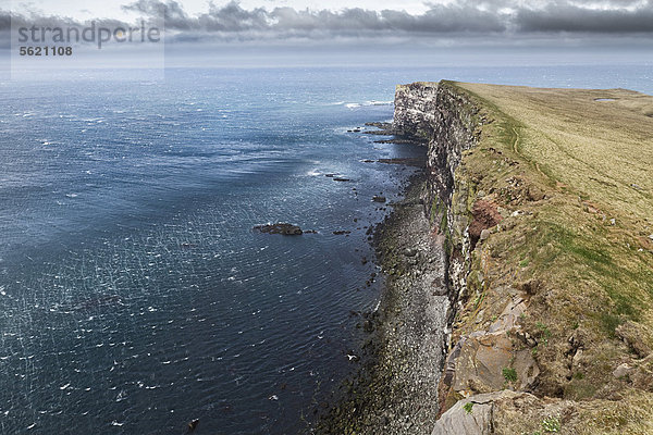 Klippen und Meer an der Steilküste L·trabjarg  Lautrabag  berühmte Vogelfelsen am Kap Bjargtangar  westlichster Punkt Islands  Westfjorde  Island  Europa