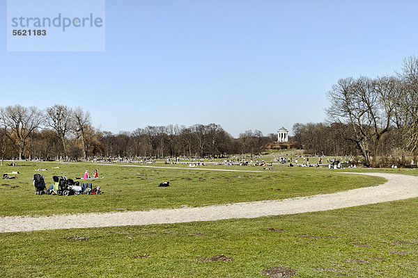 Menschen genießen die Sonne im Englischen Garten  München  Oberbayern  Deutschland  Europa