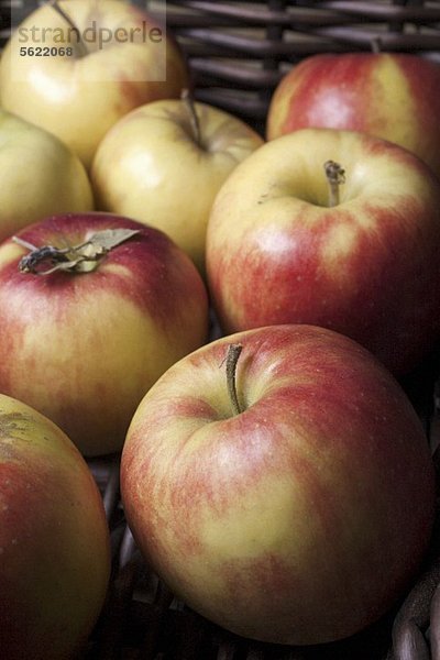 Mitsu Apfel auf dem Markt in New Jersey (USA)